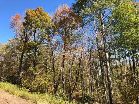 46325 Tee Time, Garrison, MN 56450 photo 17