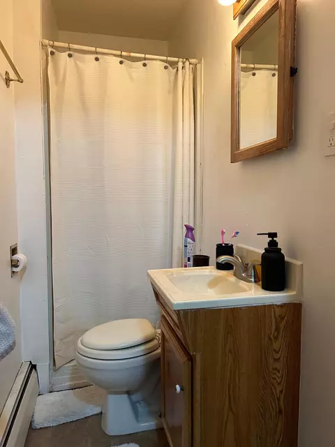 335 4th Ave SW, Plainview, MN 55964 photo 38