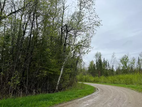 tbd N County Road 173, Deer River Twp, MN 56636