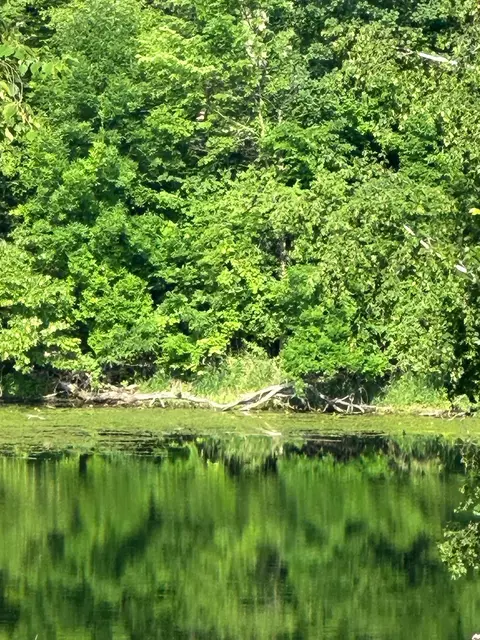 14864 Held Cir, Cold Spring, MN 56320 photo 53