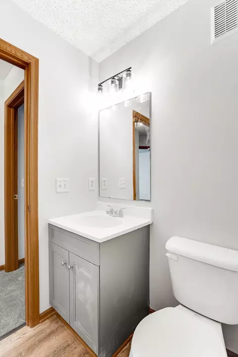 3347 Coleshire Path, Rosemount, MN 55068 photo 32
