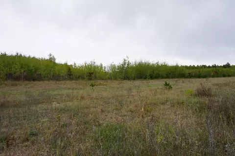 tbd Hubbard Line Rd, Menahga, MN 56464