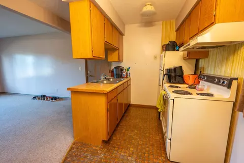 301 2nd Ave N, Dent, MN 56528 photo 5