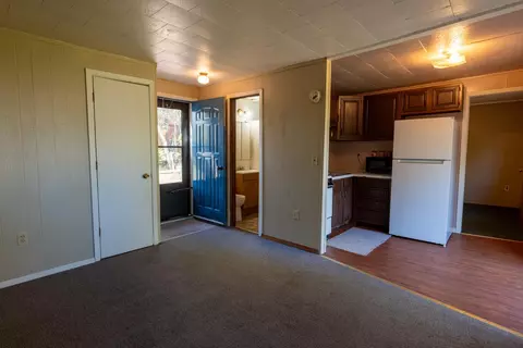 206 Main St, Dent, MN 56528 photo 6