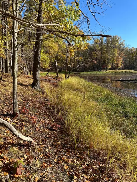 tbd Arrow Dr SW, Meadowbrook Twp, MN 56466