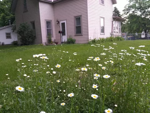 523 Evenson St, Saint Peter, MN 56082 photo 26