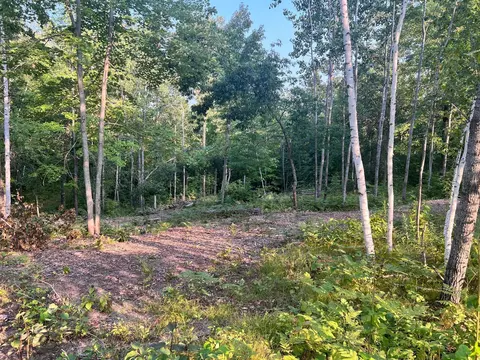 7773 White Overlook Dr, Breezy Point, MN 56472
