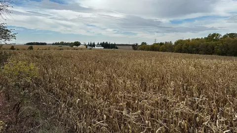 15846 State Highway 16, Spring Valley, MN 55975 photo 18