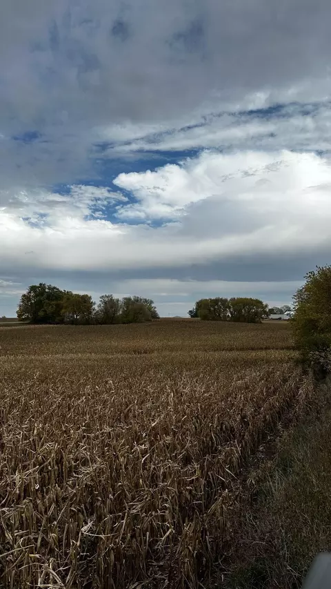 15846 State Highway 16, Spring Valley, MN 55975 photo 19