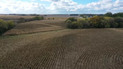 15846 State Highway 16, Spring Valley, MN 55975 photo 7