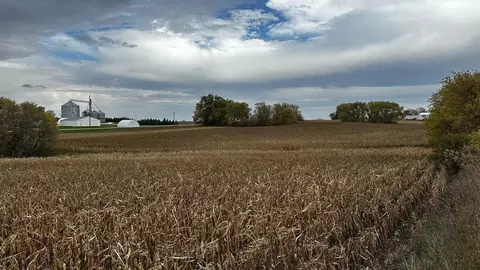 15846 State Highway 16, Spring Valley, MN 55975 photo 6