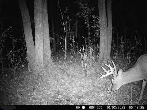 tbd 2016ac 220th St, Hayland Twp, MN 56353