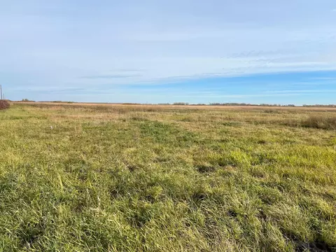 Tbd SW 240th Ave Sw, Belgium Twp, MN 56722