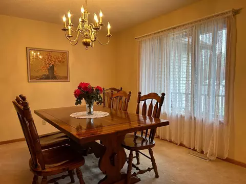 325 4th Ave SE, Plainview, MN 55964 photo 17