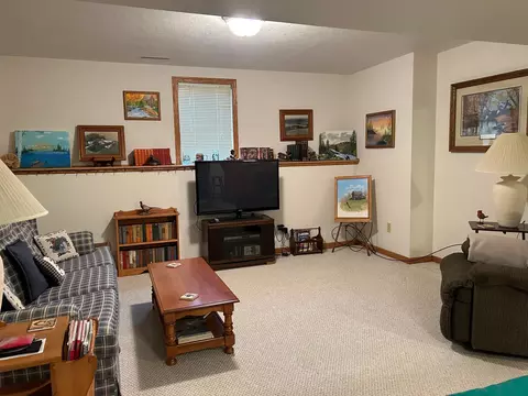 325 4th Ave SE, Plainview, MN 55964 photo 43