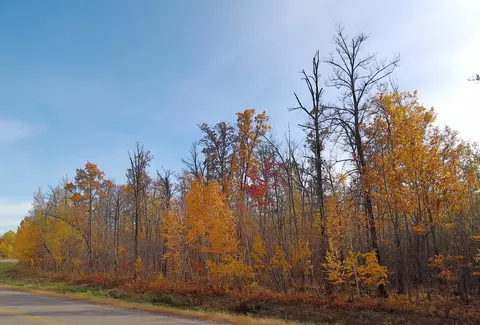 28 Nnn 60th Ave, Ogilvie, MN 56358