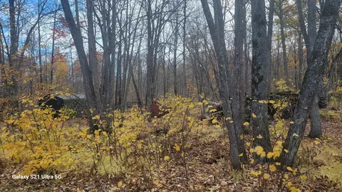 View/Area - 12531 250th St, Milaca, MN 56353 photo 6 of 10