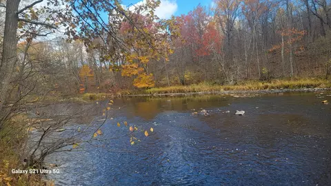 View/Area - 12531 250th St, Milaca, MN 56353 photo 1 of 10
