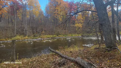 View/Area - 12531 250th St, Milaca, MN 56353 photo 8 of 10