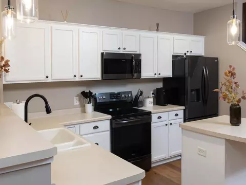 14247 Avalon Path #1002, Rosemount, MN 55068 photo 16