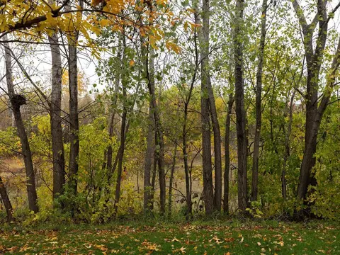 14247 Avalon Path #1002, Rosemount, MN 55068 photo 33