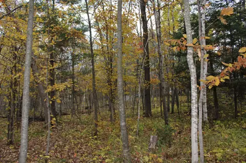 20762 State Highway 18, Brainerd, MN 56401 photo 10