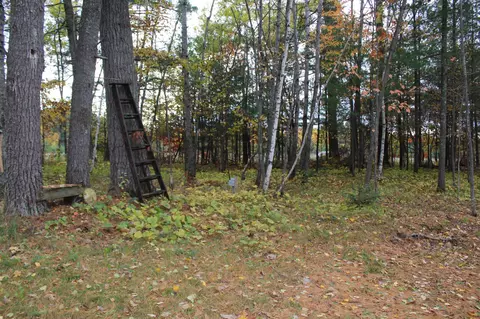 20762 State Highway 18, Brainerd, MN 56401 photo 4