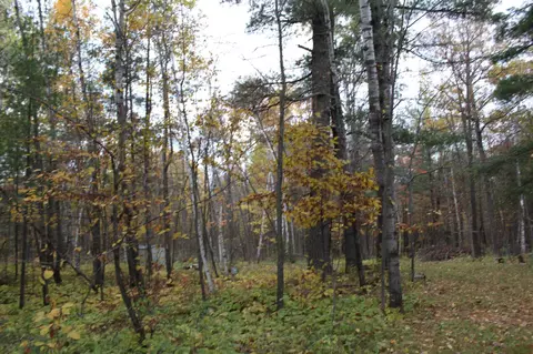 20762 State Highway 18, Brainerd, MN 56401 photo 12