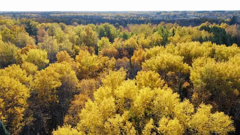 Nnn School Forest Road, Cromwell, MN 55726