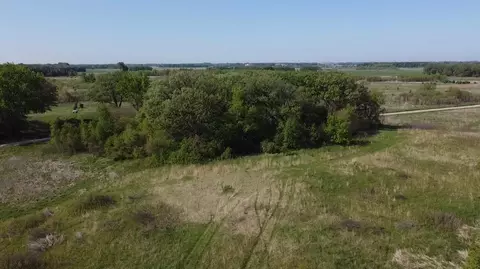 tbd 117th St, Freeman Twp, MN 56036
