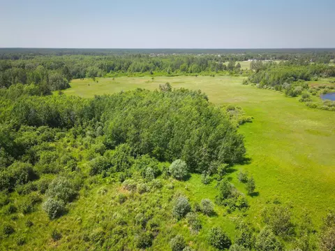 tbd Cardinal Rd, Bemidji, MN 56601 photo 5