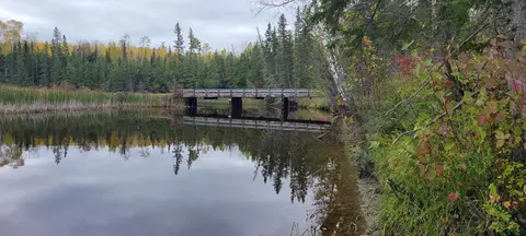 2546 County Road 119, International Falls, MN 56649