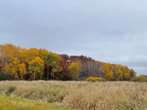 Nnn 85th Street, Bogus Brook Twp, MN 56353