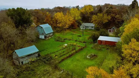 18955 State Highway 114, Starbuck, MN 56381