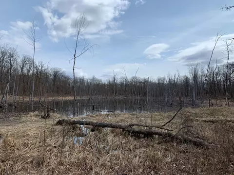 2555 400th Ave # X, Height Of Land N Twp, MN 56578
