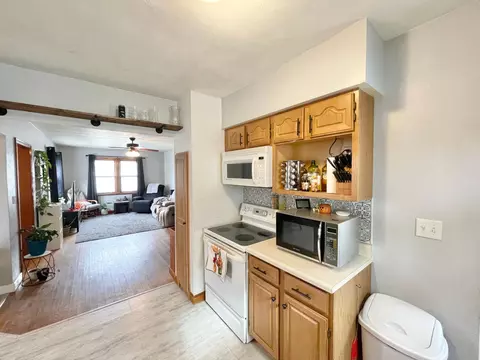 217 N Spring Ave, Springfield, MN 56087 photo 15