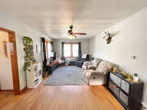 217 N Spring Ave, Springfield, MN 56087 photo 22