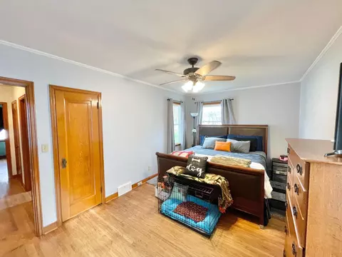 217 N Spring Ave, Springfield, MN 56087 photo 31
