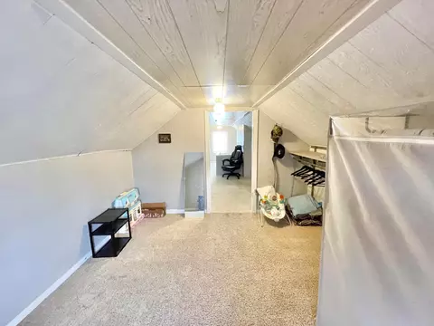 217 N Spring Ave, Springfield, MN 56087 photo 48