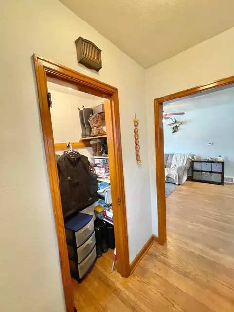 217 N Spring Ave, Springfield, MN 56087 photo 26