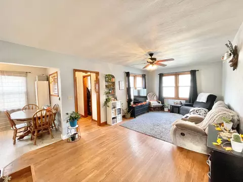 217 N Spring Ave, Springfield, MN 56087 photo 23