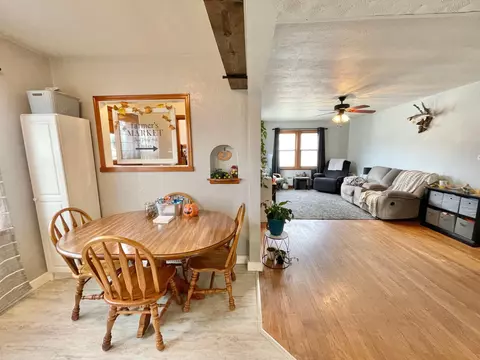 217 N Spring Ave, Springfield, MN 56087 photo 21