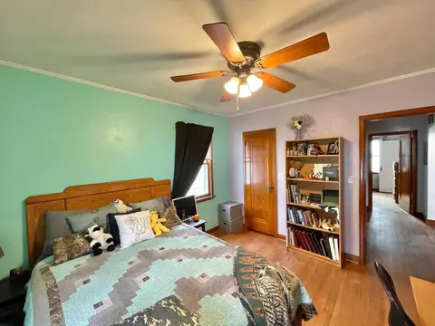 217 N Spring Ave, Springfield, MN 56087 photo 35