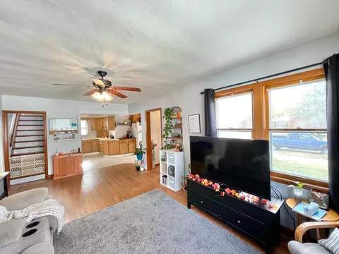 217 N Spring Ave, Springfield, MN 56087 photo 24