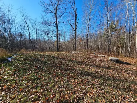 tbd 6th Ave NW, Walker, MN 56484 photo 8