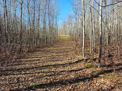 tbd 6th Ave NW, Walker, MN 56484 photo 2