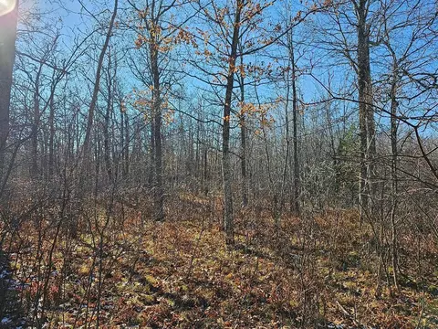 tbd 6th Ave NW, Walker, MN 56484 photo 5