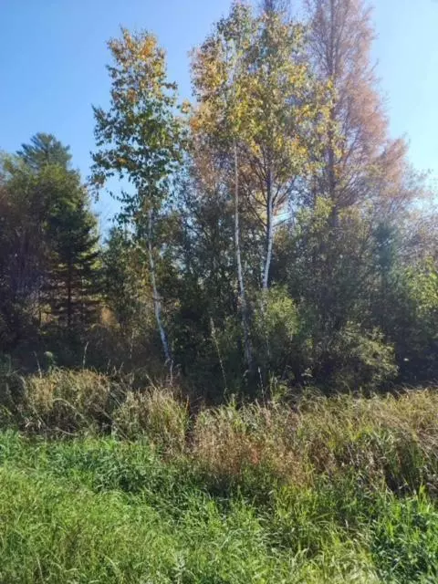 tbd County Road 429, Wawina Twp, MN 55744