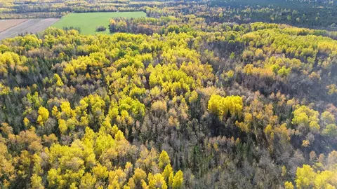 tbd 124th St NE, Deer River, MN 56636