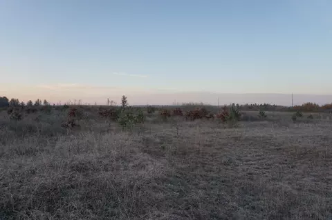 Tbd 110th Street, Straight River Twp, MN 56464